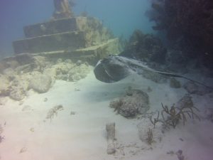 Ray by Statue of Christ of the Abyss