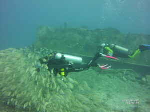 Diver watching school of fish underwater