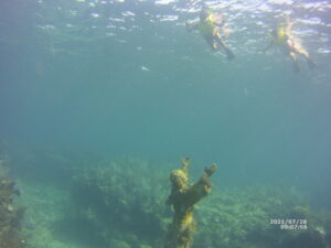 Christ of the abyss