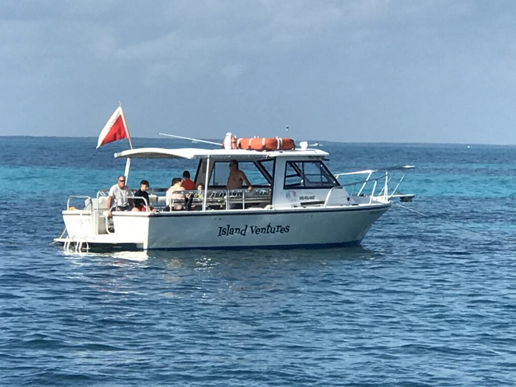IV with dive flag