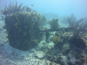The Anchor chain at Elbow reef is the old mooring from the lightship. This image shows the old block of concrete with chain attached