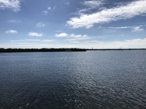 Bayside snorkel 2