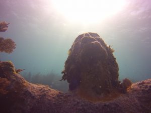 Statue of Christ of the Abyss head shot