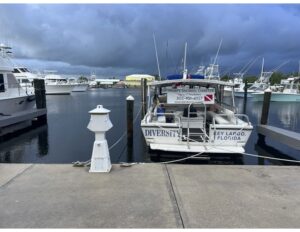 Diversity at Pilot House Marina