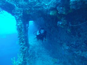 Diver on the Spiegel Walkways