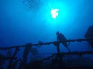 Caitlin - Spiegel - Divemaster