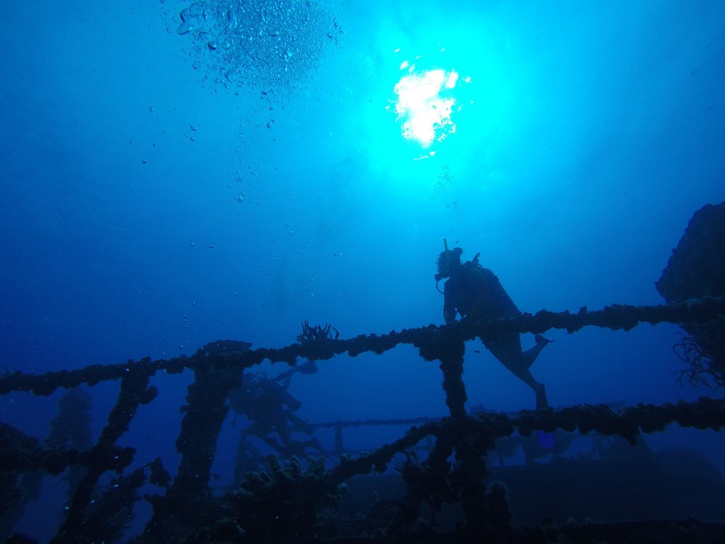 Caitlin - Advanced Open Water