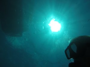Dive Master