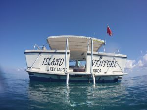 Island Venture