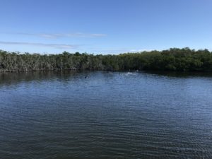 Bayside Snorkel location
